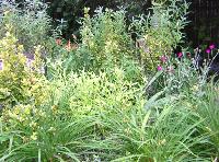 Xeriscape Bed at Highspire